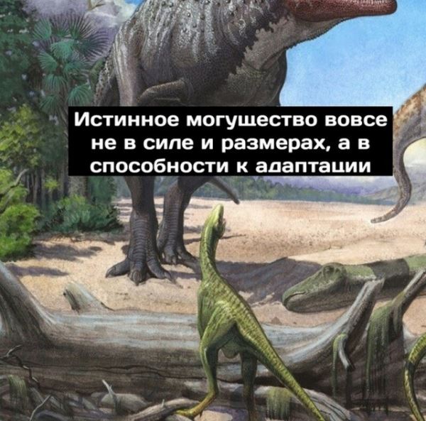 <br />
							Минутка размышлений о приспособляемости от динозавров (9 картинок)
<p>					